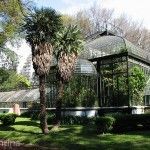 Invernadero Jardín Botanico
